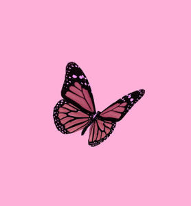 Meet your Posher, Giana